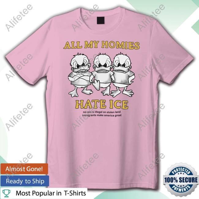 All My Homies Hate Ice No One Is Illegal On Stolen Land Immigrants Make America Great Hoodie